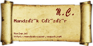Mandzák Cézár névjegykártya